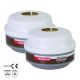 Honeywell North® A2P3 FILTER (2 Stk.)