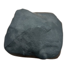 Rotan asento myrkkyä/ansaa värten (kiwi, kuten)