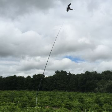 Duehøg fugleskræmmer 22m/s (inkl. 7m teleskop, rør og drejefod®)