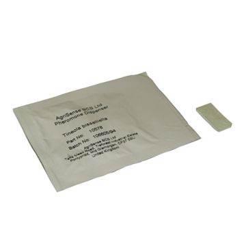 Clothes moth attractant 1 pc.