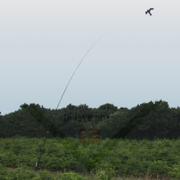 Duehøg fugleskræmmer 20m/s (inkl. 10m teleskop, jordspyd og drejefod®)