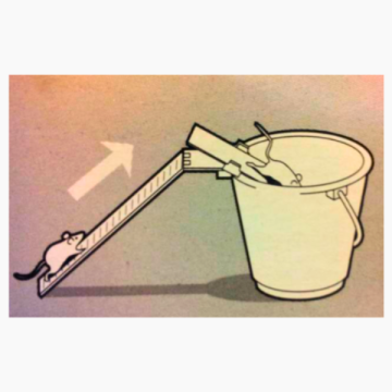 Muse-vippe fælde (uden spand)
