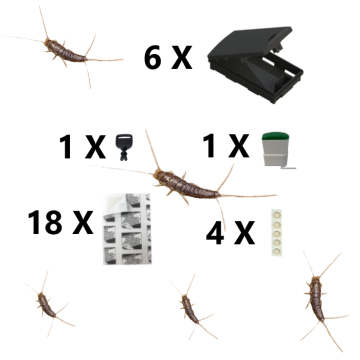 Bartagame - Komplettlösung