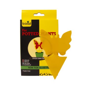 Sticky Bug trap for potted plants 12 pcs.
