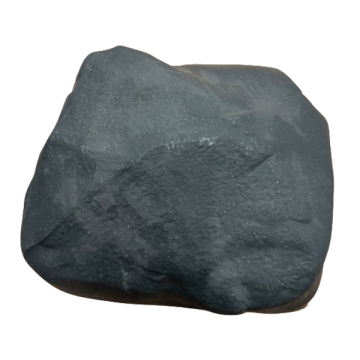 Rotan asento myrkkyä/ansaa värten (kiwi, kuten)