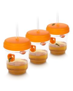 Hvepsef&aelig;lde (3-pak) - orange | Gardigo