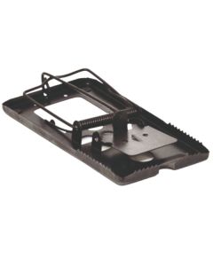 Rottef&aelig;lde i sort metal. Rottesm&aelig;kf&aelig;lde matfarvet