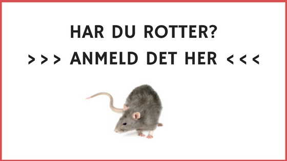Anmeld rotter