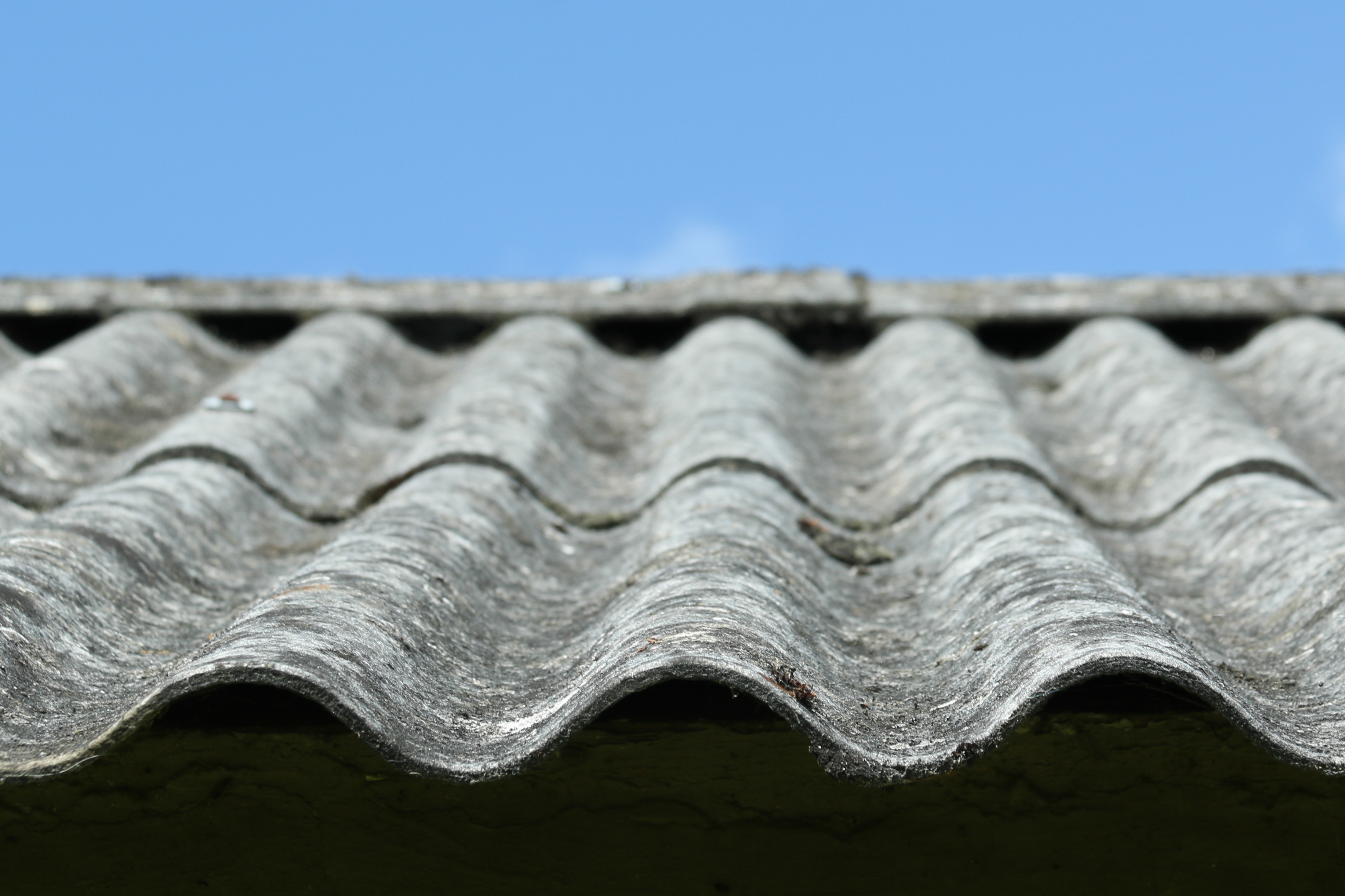 M&oslash;bel & Tag Rens