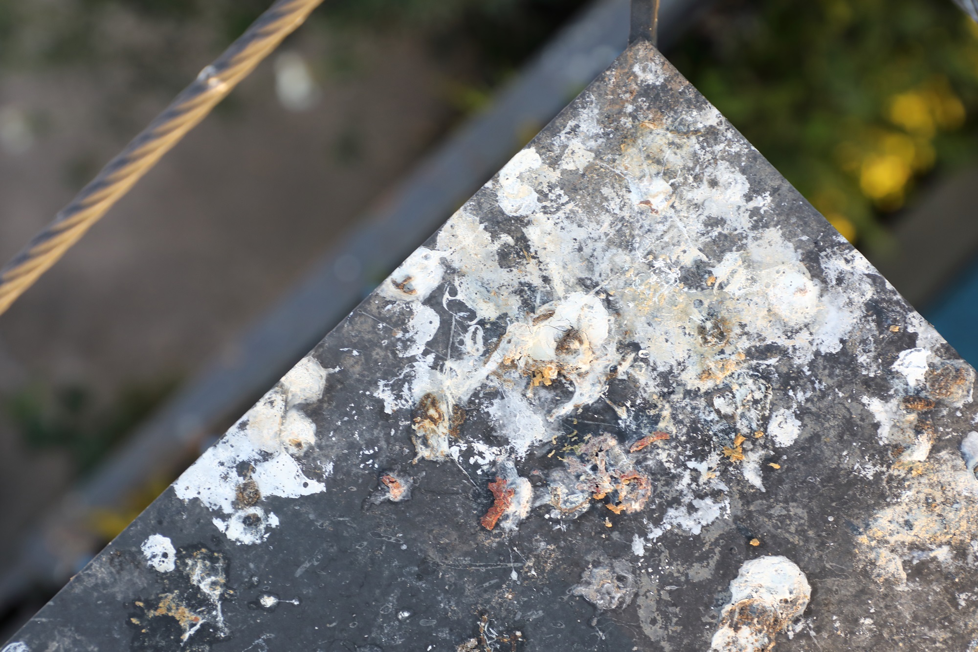 fugle ekskrementer på altan