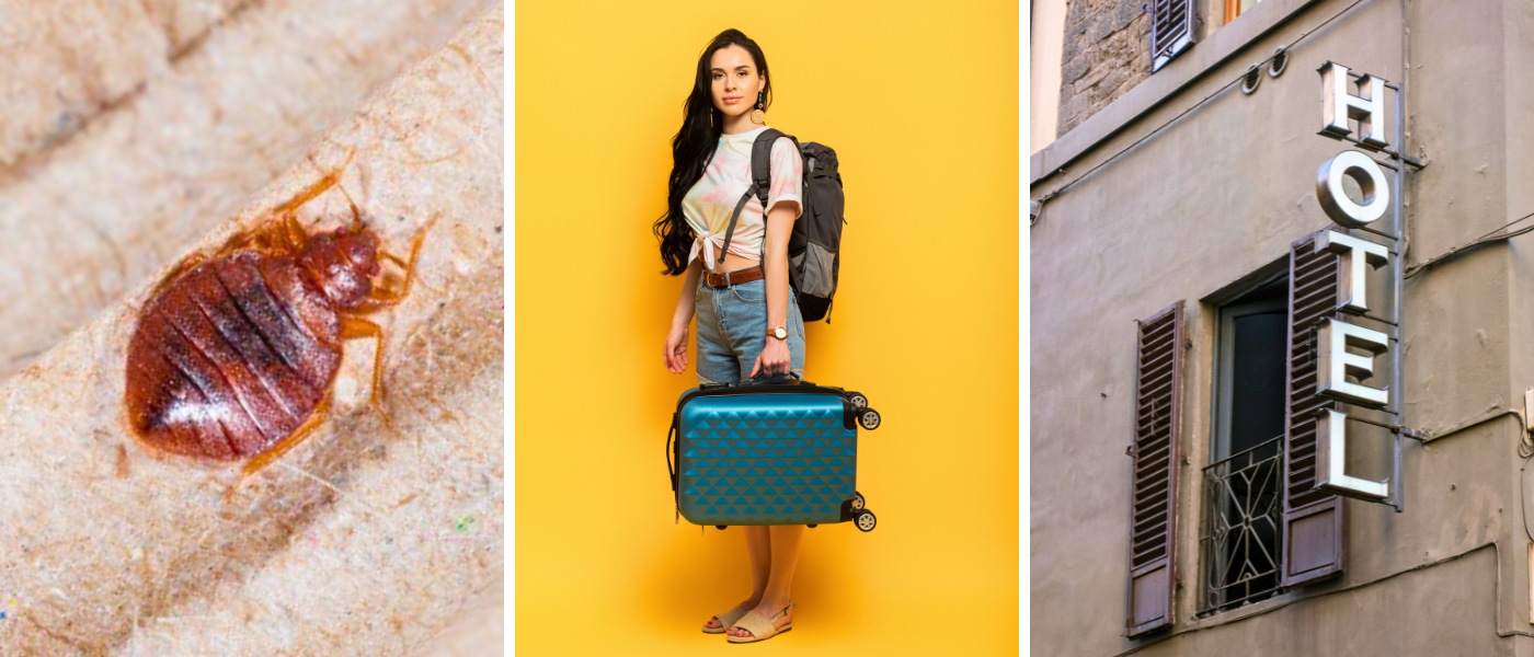  GUIDE | S&aring;dan undg&aring;r du v&aelig;ggelus p&aring; og efter ferien 