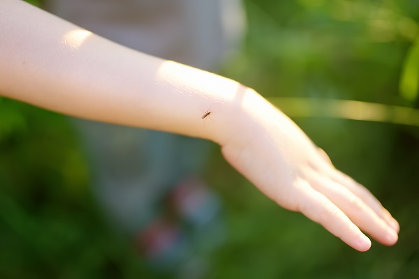 Myg som er bidende klar til at stikke et menneske p&aring; h&aring;nden