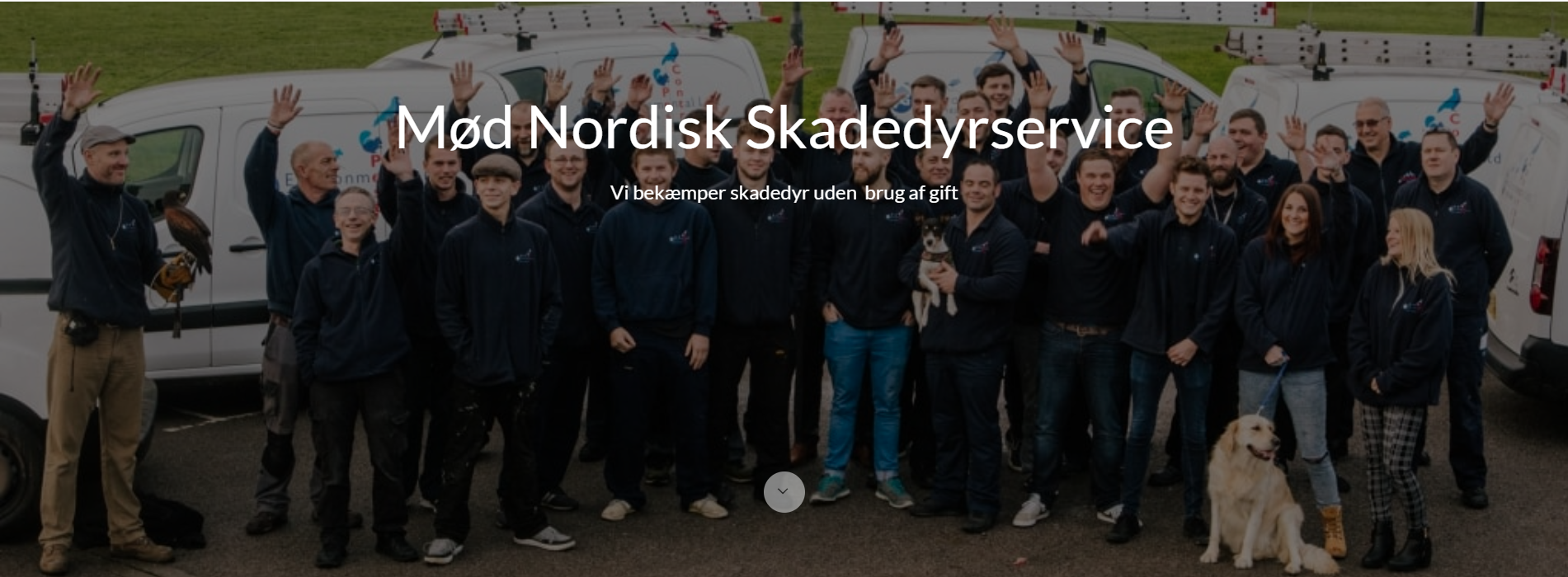 Nordisk SkadedyrService