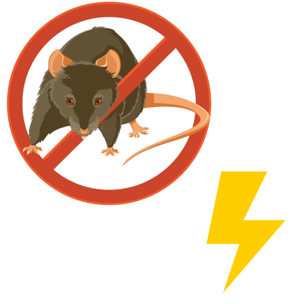 Rattenfalle mit Strom