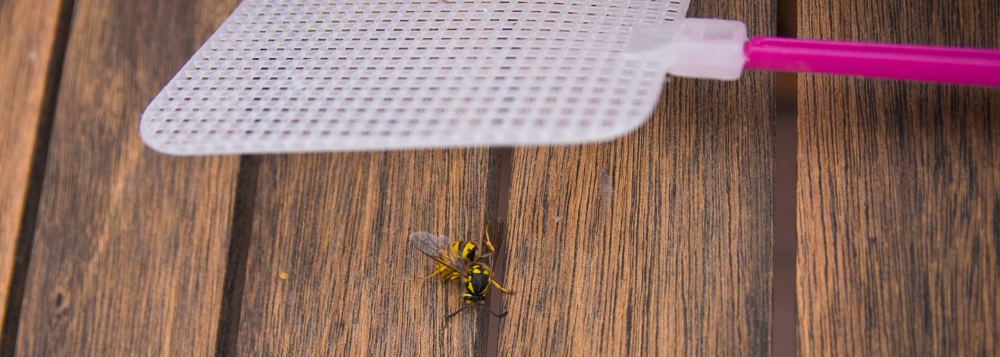 D&oslash;d hveps p&aring; tr&aelig;bord