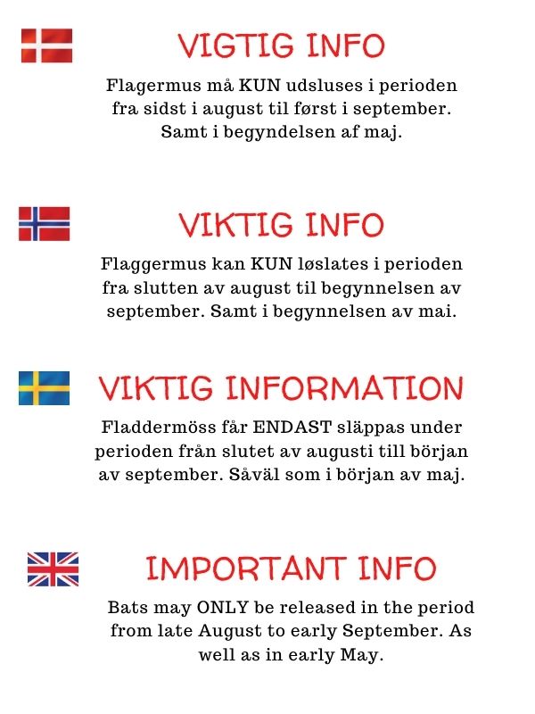 Information om flagermus udslusning